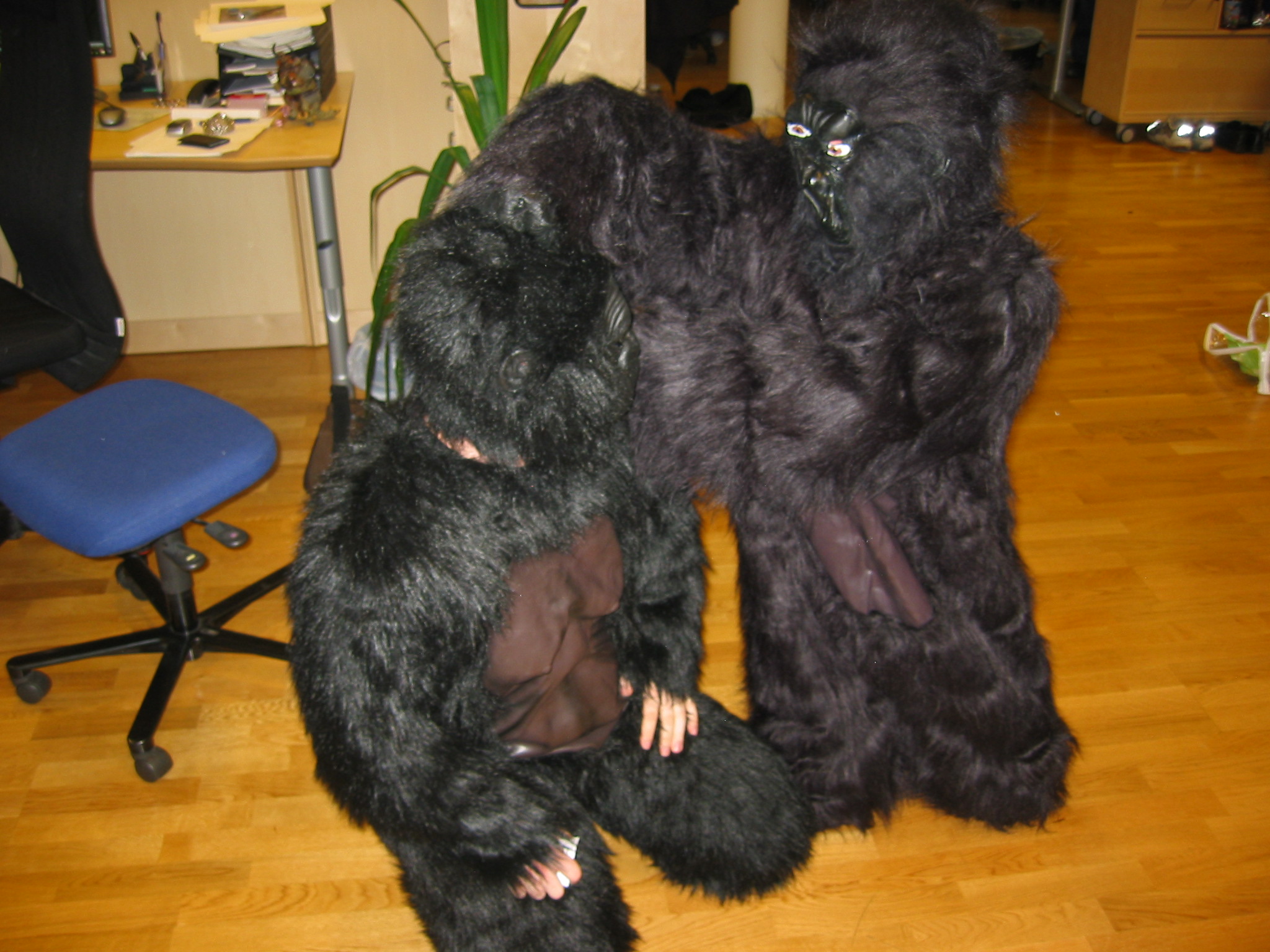 gorilla in office